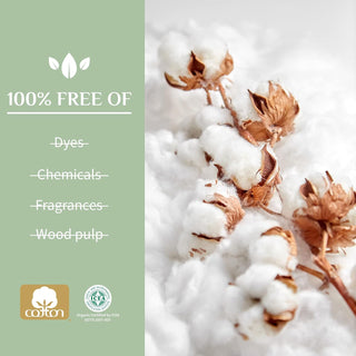 Organyc 100% Certified Organic Cotton Folded Panty Liner