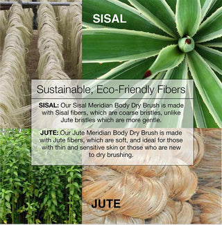 Sisal Dry Brush
